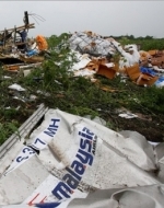 Совбез Нидерландов назвал причину катастрофы малайзийского самолета