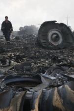 Следствие шаг за шагом приближается к установлению виновных в катастрофе МН17 - координатор следственной группы