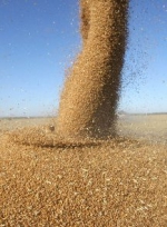 Украина и Россия создадут совместный зерновой пул