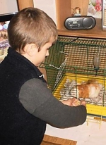 Рада запретила детям покупать животных