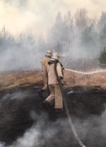 В Житомирской области локализовали все очаги огня - ГСЧС