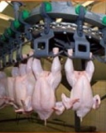 В России снова присматриваются к украинскому мясу