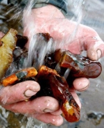 Копатели янтаря взбунтовались на Волыни (ФОТО)