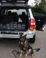 Балога говорит, что контрабанду на Закарпатье крышуют Яценюк и Аваков