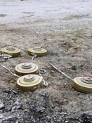 Москаль уточнил данные по погибшим в Попасной