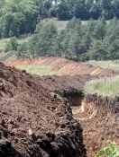 Началось возведение стены на границе с Россией