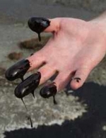 Нефть может подешеветь до $40