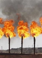 Chevron передумал добывать сланец на Олесской площади