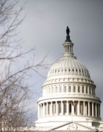 США возмущены "моделью насилия" над украинской активистами