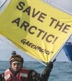 Адвокаты активистов Greenpeace просят сменить меру пресечения на домашний арест