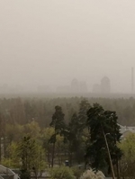 Киев затянуло дымом из Зоны ЧАЭС, горожан просят закрыть окна и не выходить