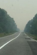 Дым от лесного пожара под Киевом  накрыл Черкасскую область (фото)