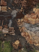 Украина превращается в сырьевой придаток – глава комитета Рады по промполитике