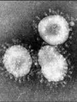 В мире за сутки диагностировали еще полмиллиона заражений COVID-19