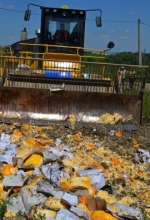 В Крыму уничтожили почти две тонны "санкционных" овощей и фруктов