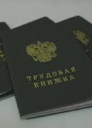 Кабмин передаст в Раду законопроект об упразднении трудовых книжек