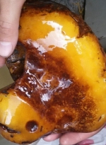 Камень янтаря рекордного веса изъяли у ривненского предпринимателя (фото)