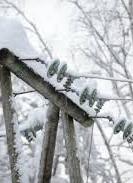 Непогода обесточила 280 украинских населенных пунктов