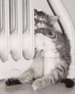 Азаров поручил подчиненным приготовиться к отопительному сезону