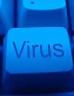 СБУ: Результаты выборов должен был уничтожить вирус на сервере ЦИК