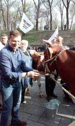 Ляшко привел под Кабмин коров