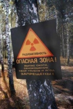 Пожар в Чернобыле ликвидировано - ГСЧС