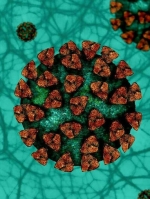 В ЕС опубликовали рекомендации относительно нового штамма Omicron