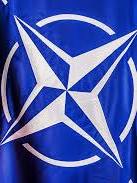 НАТО может разместить боевые группы в Румынии, Словакии и Болгарии – СМИ