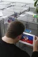 В "ЛНР" назначили псевдовыборы на 1 ноября (документ)