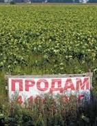 ЕСПЧ обязал Украину снять мораторий на продажу сельхозземель