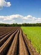 Открытие рынка земли увеличит ВВП Украины на 2% — Всемирный банк