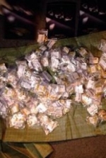 Из вагонов поезда "Киев-Москва" изъяли 100 кг янтаря (фото)