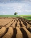 Продажу земли поддерживает лишь треть украинцев