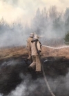 В Житомирской области локализовали все очаги огня - ГСЧС