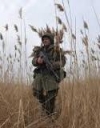 За минувшие сутки в зоне АТО ни один украинский военнослужащий не погиб