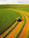 Правительство создало Фонд гарантирования кредитов аграриям