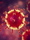 Британские ученые обнаружили новый штамм Covid с 32 мутациями