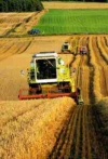 На 7 сентября количество сделок по купле-продаже земельных участков пересекла отметку в 13 тысяч
