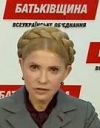 Партия "Батькивщина" не смогла инициировать референдум о продаже земли