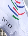 Россия пожаловалась в ВТО на Украину и ЕС
