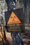 Пожар в Чернобыле ликвидировано - ГСЧС