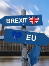 В Британии создали партию Brexit для "преданного электората"